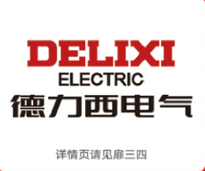 Delixi Electric